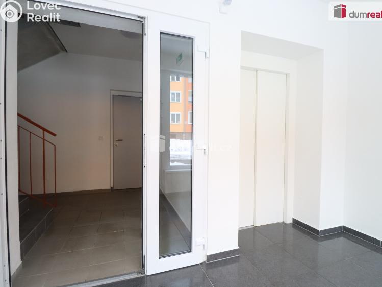 Pronájem bytu 2+KK Nová Role, Svobodova č. 16