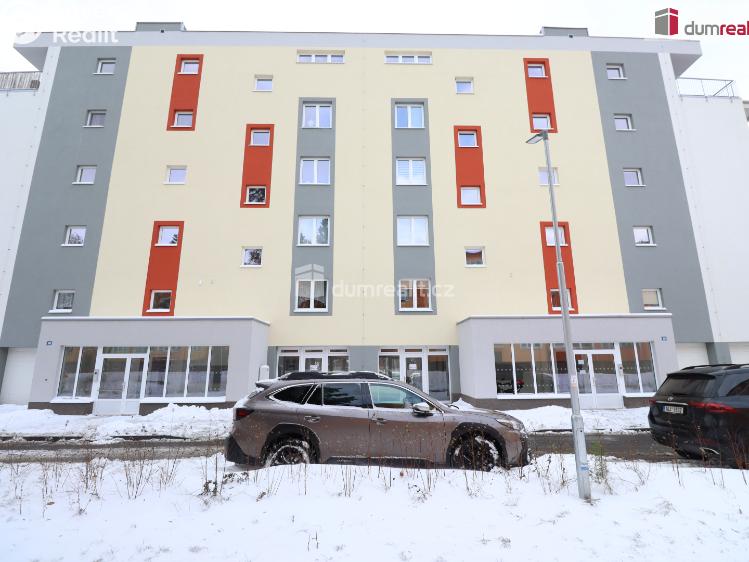 Pronájem bytu 2+KK Nová Role, Svobodova č. 18