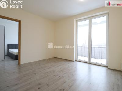 Pronájem bytu 2+KK Nová Role, Svobodova č. 3