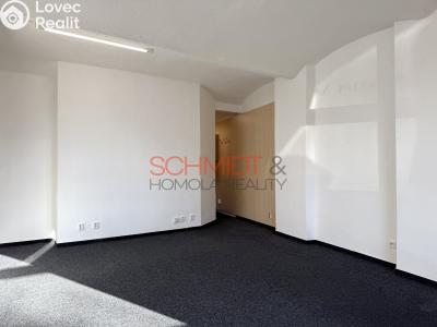 Rent commercial space Hustopeče, Janáčkova č. 4