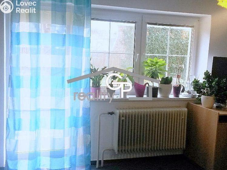 Pronájem bytu 1+1 Vidov č. 3