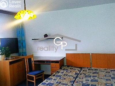 Pronájem bytu 1+1 Vidov č. 4