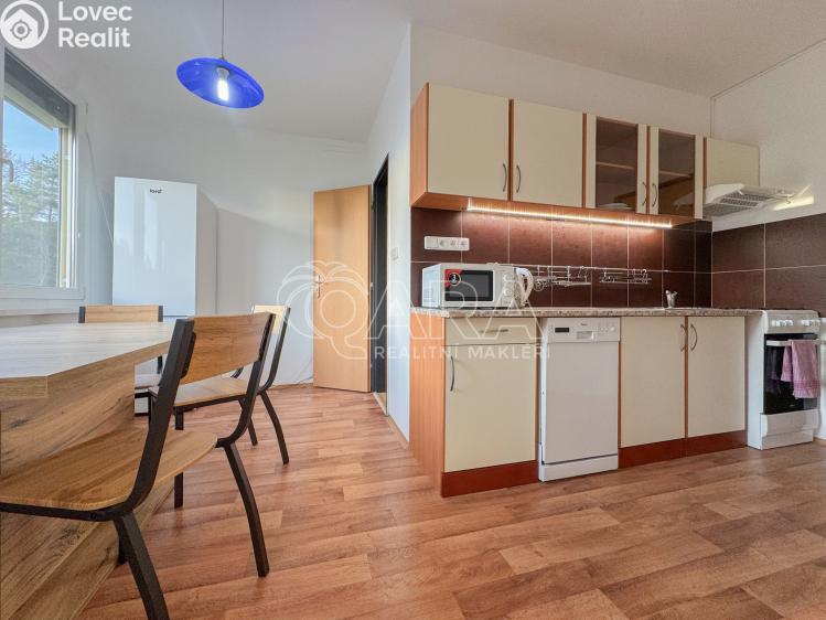 Pronájem bytu 3+1 České Budějovice, J. Opletala 833/53 č. 1