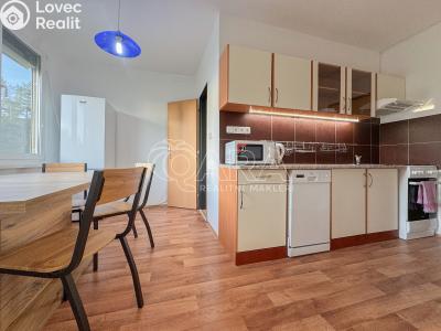 Pronájem bytu 3+1 České Budějovice, J. Opletala č. 1