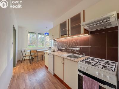 Оренда квартири 3+1 České Budějovice, J. Opletala č. 10