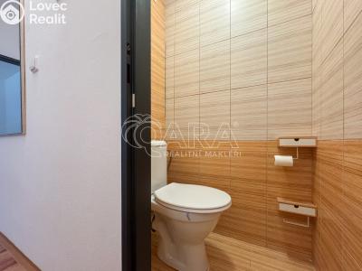 Оренда квартири 3+1 České Budějovice, J. Opletala č. 18