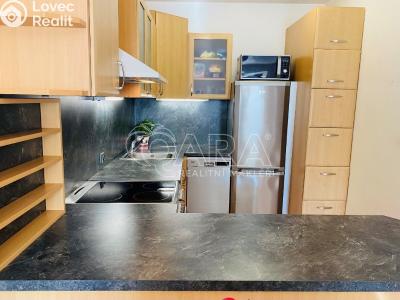 Pronájem bytu 2+KK Beroun, Nad Paloučkem 1722 č. 6