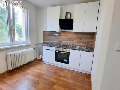 Pronájem bytu 2+1 Karlovy Vary, Fibichova č. 1