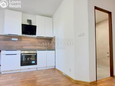 Pronájem bytu 2+1 Karlovy Vary, Fibichova č. 2