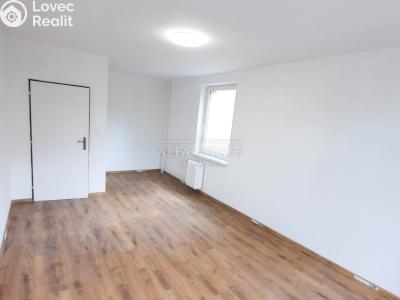 Pronájem bytu 2+1 Karlovy Vary, Fibichova č. 4