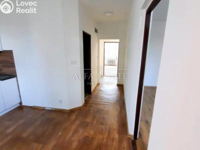 Pronájem bytu 2+1 Karlovy Vary, Fibichova č. 5