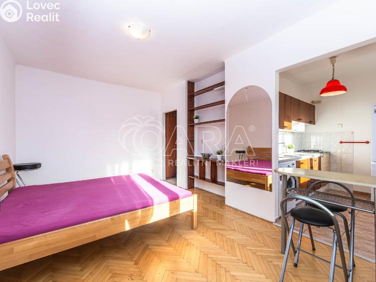 Pronájem bytu 1+1 Praha, U kombinátu 1930/20 č. 10