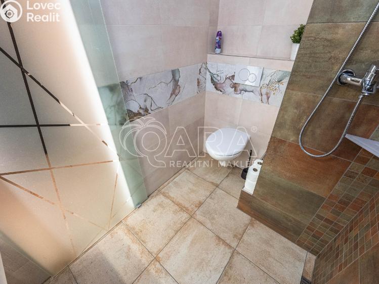 Pronájem bytu 1+1 Praha, U kombinátu 1930/20 č. 12