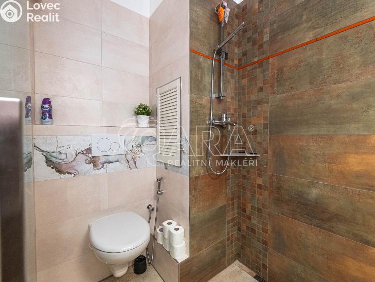 Pronájem bytu 1+1 Praha, U kombinátu 1930/20 č. 13