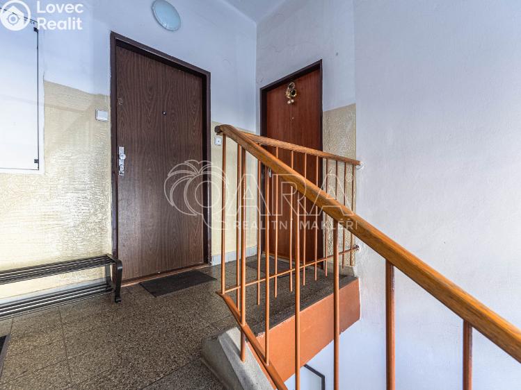 Pronájem bytu 1+1 Praha, U kombinátu 1930/20 č. 17