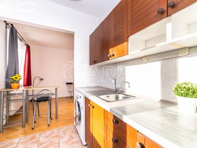 Pronájem bytu 1+1 Praha, U kombinátu č. 6