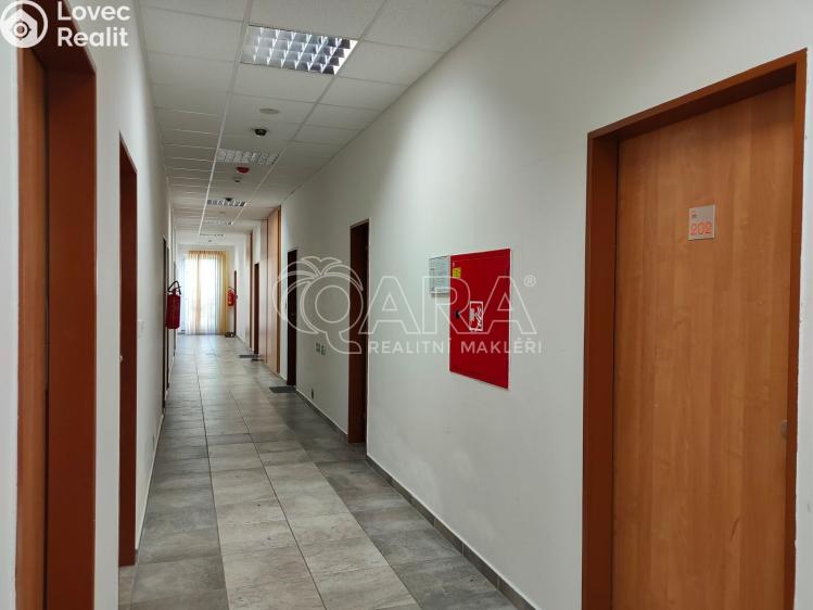 Pronájem bytu 1+KK Praha, Bendlova 154/19 č. 13