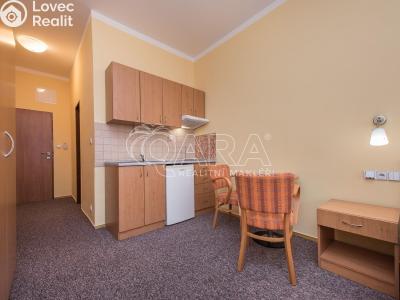 Pronájem bytu 1+KK Praha, Bendlova č. 2