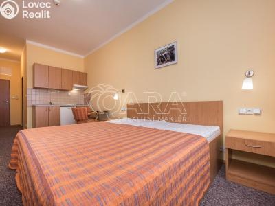 Pronájem bytu 1+KK Praha, Bendlova č. 5