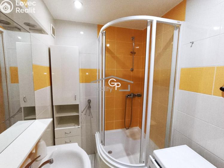 Pronájem bytu 2+1 České Budějovice, Prachatická č. 7