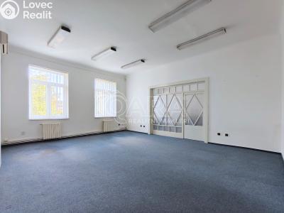 Rent office space Praha, Na louži č. 1