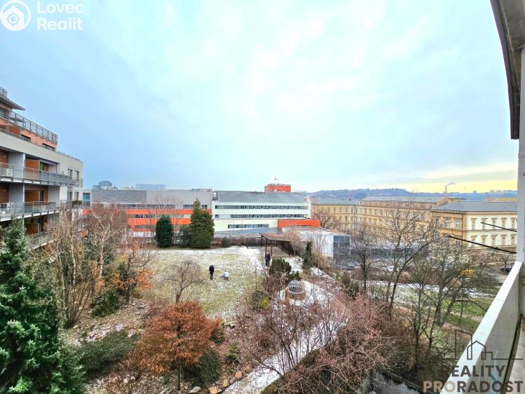 Pronájem bytu 1+1 Brno, Pekařská č. 8