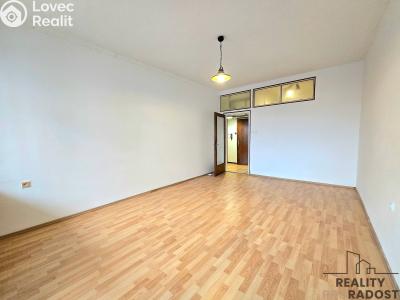 Pronájem bytu 1+1 Brno, Pekařská č. 2