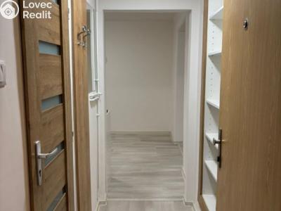 Pronájem bytu 1+1 Ostrava, Gurťjevova č. 1