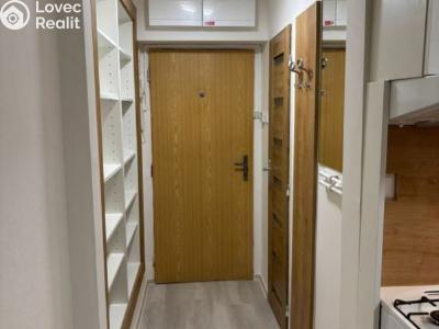 Pronájem bytu 1+1 Ostrava, Gurťjevova č. 2