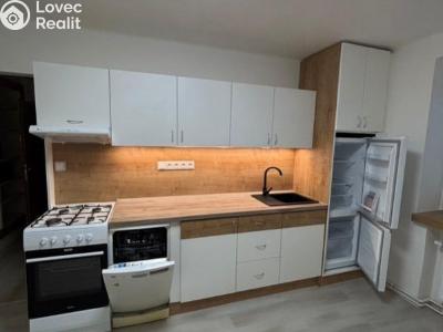 Pronájem bytu 1+1 Ostrava, Gurťjevova č. 5