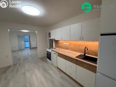 Pronájem bytu 1+1 Ostrava, Gurťjevova č. 6