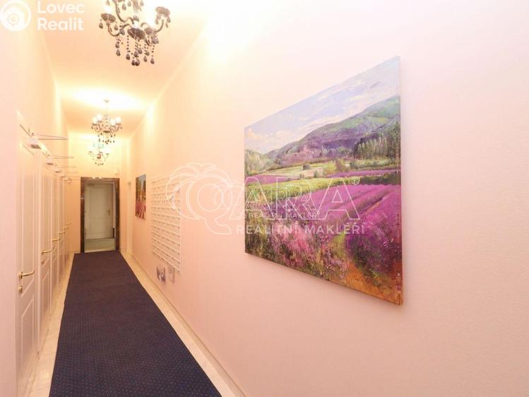 Sale apartment 1+KK Praha 2 č. 5