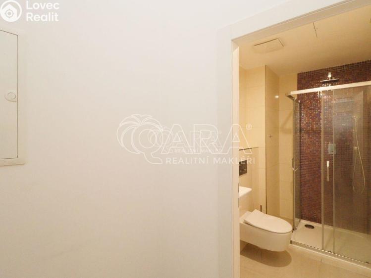 Sale apartment 1+KK Praha 2 č. 9