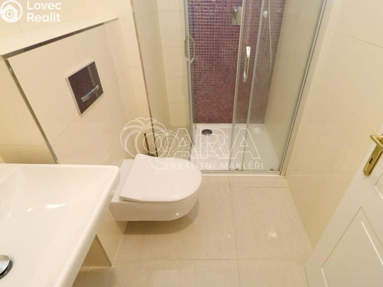 Sale apartment 1+KK Praha 2 č. 11