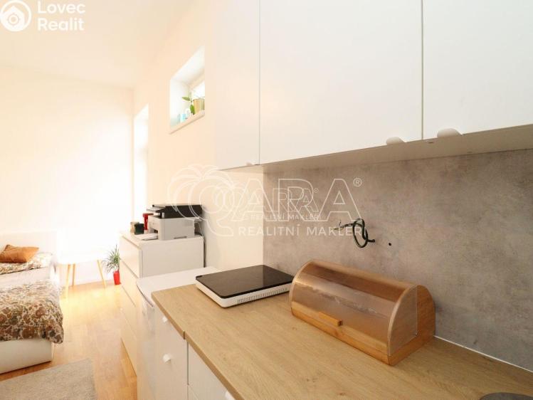 Sale apartment 1+KK Praha 2 č. 20