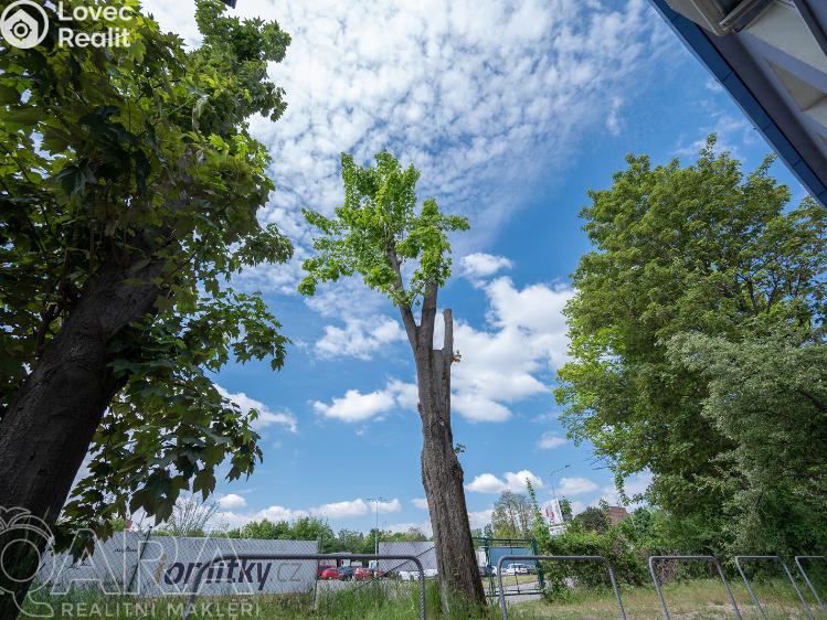 Pronájem kanceláře Brno, Bohunická č. 22
