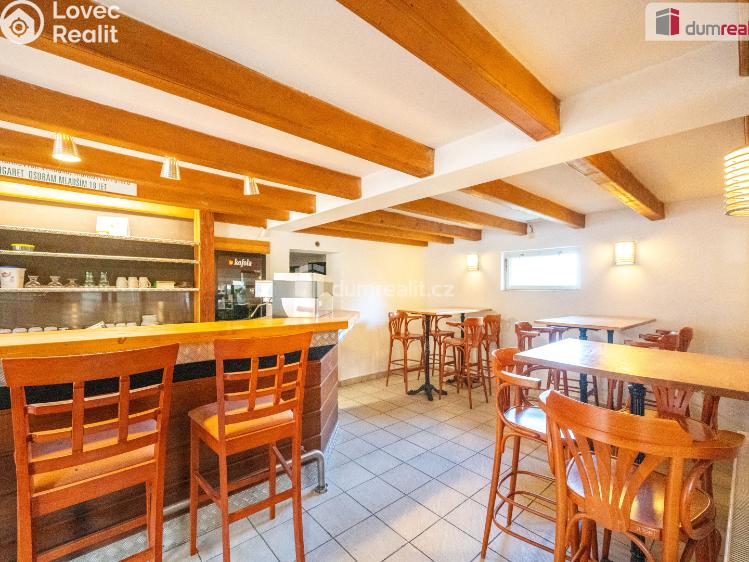 Продаж ресторану Boršov nad Vltavou, Na Výši č. 13