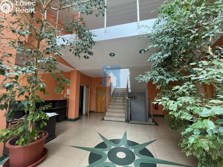 Аренда офисного помещения Praha, Pekařská č. 2