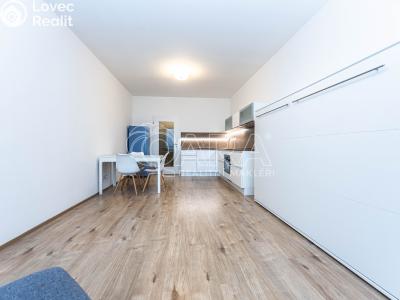 Pronájem bytu 1+KK Chýně, Premonstrátů 910 č. 2