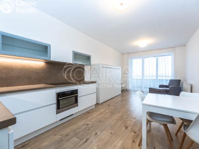 Pronájem bytu 1+KK Chýně, Premonstrátů 910 č. 1