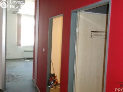Rent office space Brno, Cejl č. 3