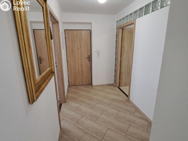 Pronájem bytu 2+1 České Budějovice, Kněžskodvorská č. 5