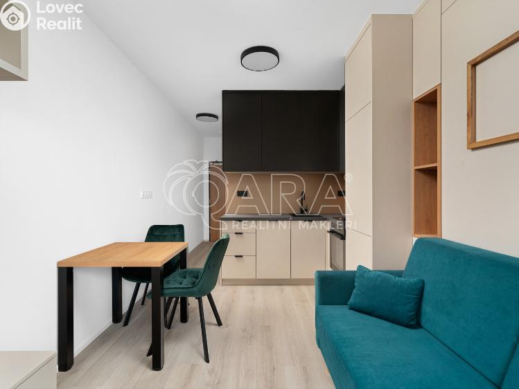 Оренда квартири 1+KK Brno, Dornych 384/102 č. 3