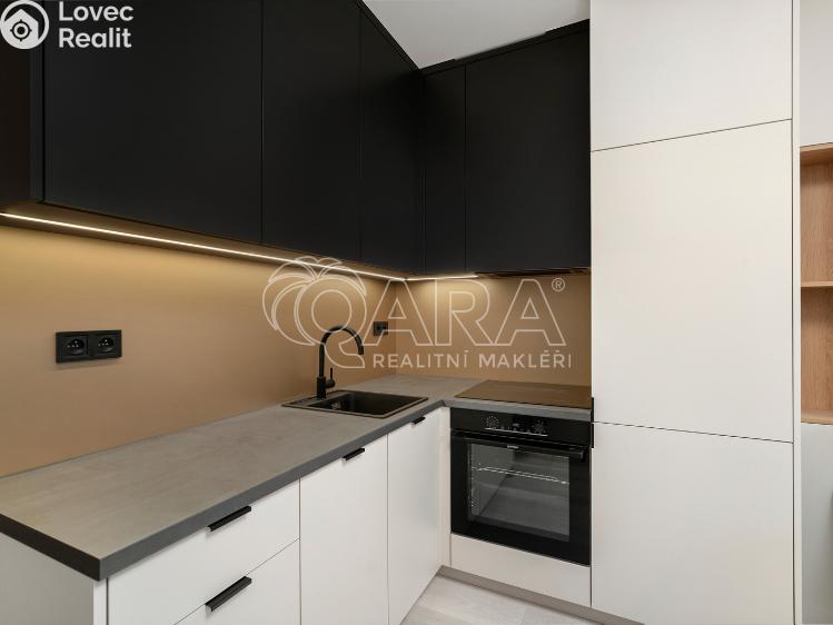 Оренда квартири 1+KK Brno, Dornych 384/102 č. 4