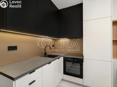 Оренда квартири 1+KK Brno, Dornych č. 4