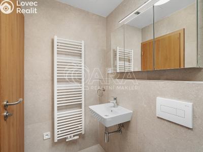 Оренда квартири 1+KK Brno, Dornych č. 6