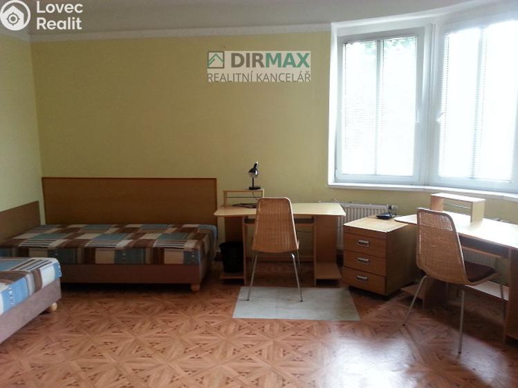 Rent atypical apartment Plzeň, Ruská č. 1