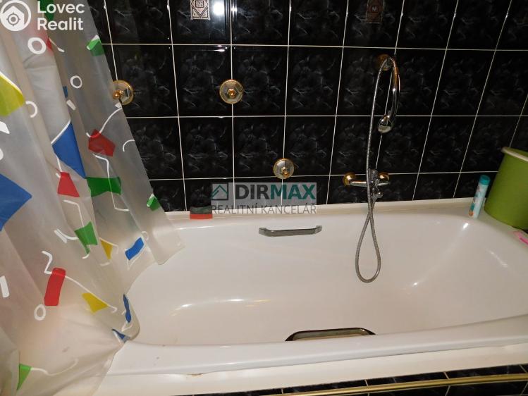 Rent atypical apartment Plzeň, Ruská č. 5