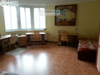 Pronájem atypického bytu Plzeň, Ruská č. 3