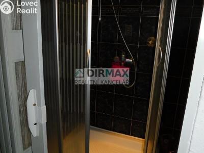 Pronájem atypického bytu Plzeň, Ruská č. 4